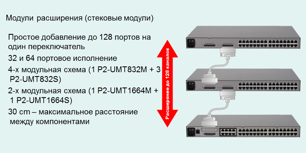 KVM RaritanParagonII